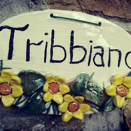 Σπίτι διακοπών Con Piscina In Toscana, Tribbiano *