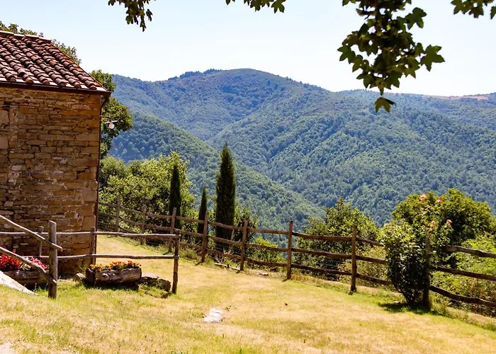 Con Piscina In Toscana, Tribbiano 度假居 *