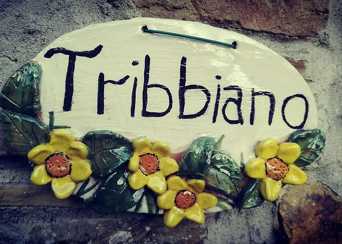 度假居 Con Piscina In Toscana, Tribbiano *